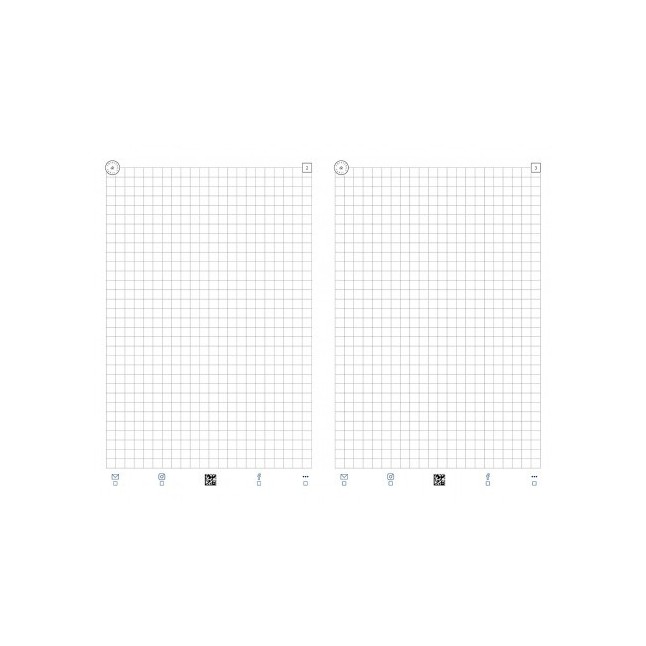 Recharge Carnet Thibierge Pages Quadrillées 08.16