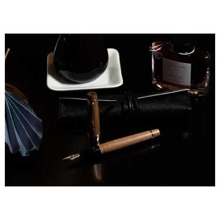 Stylo plume - Custom Enju - Pilot