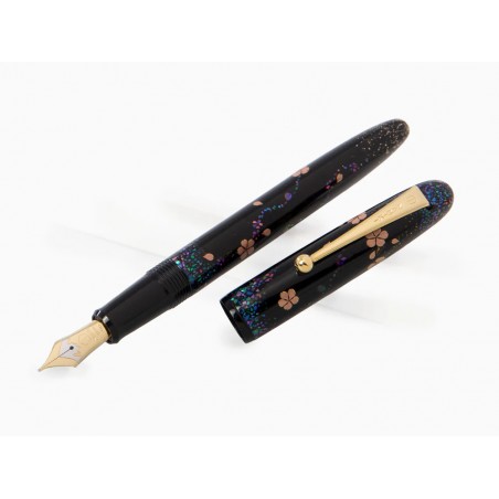 Cherry Blossom at Night